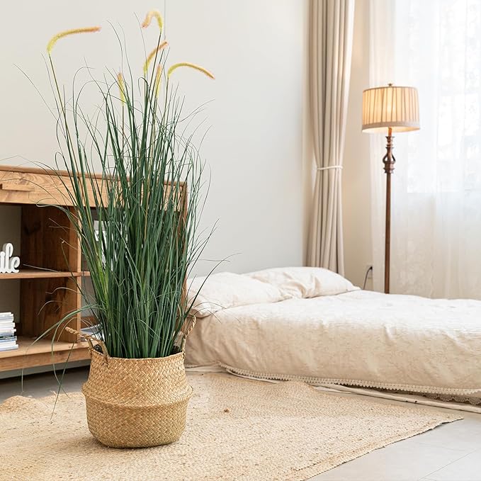 Seagrass Plant Basket with Handles Set of 3 - Woven Belly Basket Planter with Liner for Indoor Plants, Olive Tree, Monstera, Snake Plant, Faux Tree, 8" 9" 10" 12 Inch Pots, Boho Floor Basket