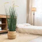 Seagrass Plant Basket with Handles Set of 3 - Woven Belly Basket Planter with Liner for Indoor Plants, Olive Tree, Monstera, Snake Plant, Faux Tree, 8" 9" 10" 12 Inch Pots, Boho Floor Basket
