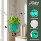 3 Pack Self Watering Hanging Planters, 6.5 Inch Hanging Flower Pot with Drainage Hole, Plastic Hanging Basket with 3 Hooks Chains, Plant Hanger for Indoor Outdoor Plants, Herbs (3 Colors)