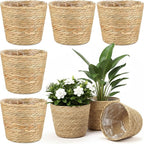6 Pcs Seagrass Plant Basket with Plastic Liners Woven Stylish Planter Baskets Bulk Indoor Outdoor Plants Woven Wicker Baskets for Flower Pots Cover and Room Decor Small (Small,Rustic)