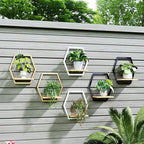 Modern Black Hexagon Wall Planters with Solid Wood Shelves Set of 3 Geometric Floating Wall Decor for Indoor Plants, Stylish Wall Mounted Display for Succulents & Small Plants