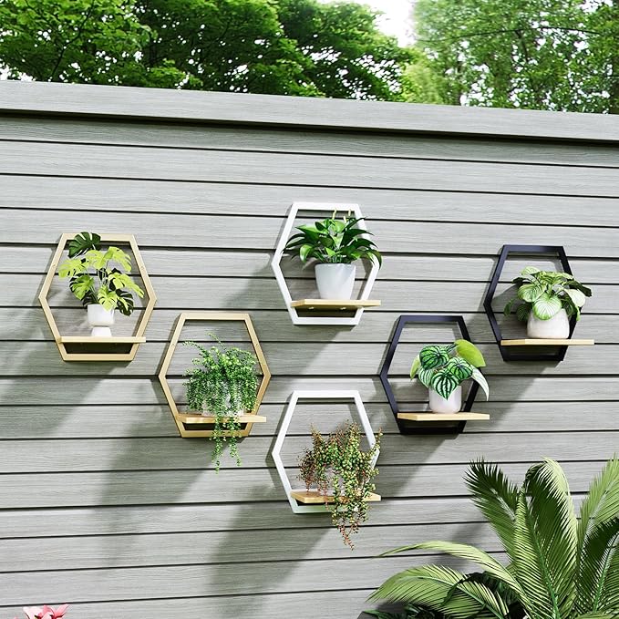 Modern Black Hexagon Wall Planters with Solid Wood Shelves Set of 3 Geometric Floating Wall Decor for Indoor Plants, Stylish Wall Mounted Display for Succulents & Small Plants