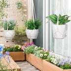 YIBOT 3 Pack Macrame Plant Hanger Indoor Hanging Planter for Plants Holder with 3 Hooks, 35"/29"/23" Size No Tassels for Boho Home Decor, Ivory (POTS NOT Included)
