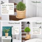Indoor Water Hyacinth Plant Basket Set of 3, Woven Planter Baskets with Plastic Liner for Plants, Handwoven Plant Pots Decorative Wicker Planters for Home Décor (Saucer NOT Included)