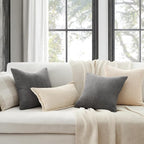 Topfinel Dark Grey Throw Pillow Covers Set of 4,Soft Velvet Modern Double-Sided Designs,Decorative Cushion CasesMix and Match for Home Decor, Pillow Inserts Not Included (20x20 inch)