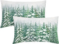 Kawani Green Pine Tree Lumbar Pillow Covers 12X20 Inch Winter Forest Snowflake Decorative Pillow Cases Set of 2 Christmas Holiday Throw Pillows for Cushion Sofa Couch Outdoor