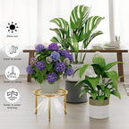 5 Pack Metal Plant Stand Home Flower Stand Shelf for Multiple Display Pot Holder Rack for Indoor Outdoor Round Short Plant Stand