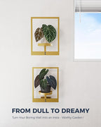 Bamworld Gold Plant Stand Indoor, Plant Hanger Wall Planters for Indoor Plants Window Plant Shelves Plant Holder Wall Decor, Room Decor (Patent Design)