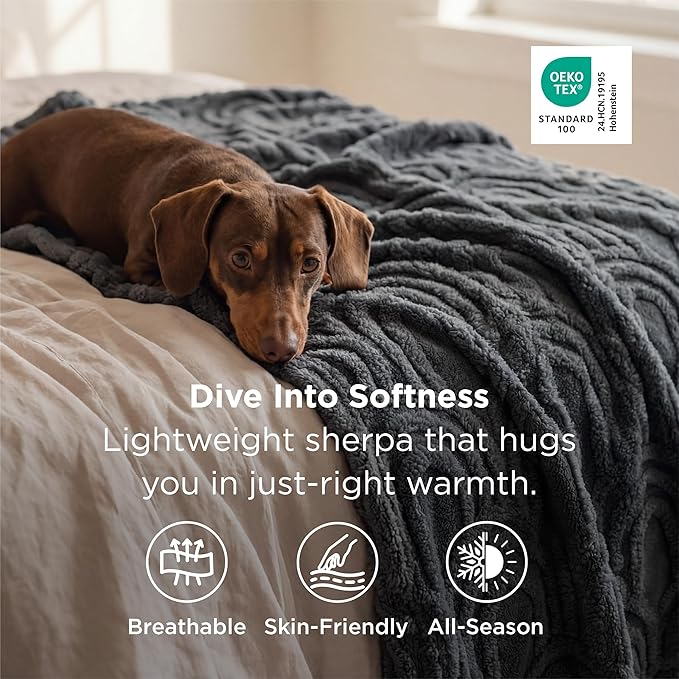 Bedsure GentleSoft Grey Throw Blanket for Couch - Super Soft & Cozy Summer Blankets for Women, Fluffy Fleece Throw for Girls, for Women Men, Ideal for Room, Home & Bedroom Decor, 50x60 Inches