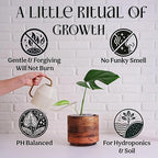 Organic Liquid Indoor Plant Food, Houseplant, Tropical & All-Purpose Indoor Plant Fertilizer, Organic Liquid Fertilizer 5-5-5 with Sea Kelp, 12oz Treats 75 Gallons