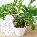 BOXOB 2pcs Monstera Leaf Plant Support, Metal Climbing Plant Stem Supports Monstera Shaped Plant Stand Ring Houseplant Stabilizer Grapple Holder to Keep Plants Growing Vertical (Green)