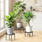 TOSKING 3-Pack Plant Stands - Heavy Duty Low Plant Stand, No Assembly Required Risers for Potted Plants Indoor and Outdoor, Ready to Use(10.24" & 10.24" & 8.66" Diameter)