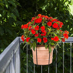 TQVAI 10 Inch Railing Planter - Fit for 1.5 to 3.5 Inches Railing - Adjustable Hanging Planters Outdoor Balcony Deck Flower Pot Holder Metal Baskets for Garden Orchid, Patio Ledge, 3 Pack, Black