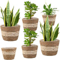 Mumufy 6 Pcs Seagrass Planter Basket Flower Pots Cover Plant Baskets Hand Woven Plant Basket Storage Containers with Plastic Liners for Indoor Outdoor Flower Pots Decoration 10, 7, 8.3 Inch(Novel)
