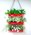 LaLaGreen Hanging Wall Planter - 16 Inch Three Tier Plant Hanger for Succulent Indoor Herb Planter Metal Wall Plant Holder Bright Red Christmas Decor, Vertical Garden Hanging Planter Shelf Outdoor