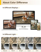 Area Rugs 2'x3' Kitchen Rugs Entry Rug Small Rugs for Entryway Kitchen Bathroom Door Mat Indoor Entrance,Washable Non Slip, Brown Dark Brown