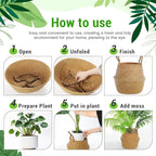 Large Wicker Plant Basket with Handle 10 Inch Woven Seagrass Belly Basket and Artificial Moss for House Plants Picnic Grocery Laundry Storage Home Decor(Large,Original,2 Pack)