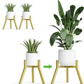 Adjustable Plant Stands Set of 2, Metal Small Plant Holder, Heavy Duty Stable Flower Holder Stand Rack for Various Pot Sizes Indoor Outdoor Corner Living Room Balcony Office Golden PS-007GY-2