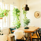 2Pack 2.5Inch Ceiling Hooks for Hanging Plant, Hanger for Indoor and Outdoor Plant Pots Holder, Wall Hook for Planters, Flower Basket, Wind Chimes, Lanterns, Lights, Bird Feeders, Home Decor-White