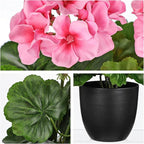 Briful 16” Geraniums Artificial Flowers Realistic Potted Plant – Pink Fake Geraniums for Outdoors, Silk Flowers Artificial Outdoor Plants for Indoor Home Decor, Farmhouse Table Centerpiece Decoration