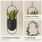 Bamworld Hanging Planters for Indoor Outdoor Plants Metal Hanging Pots for Plants 5.5 Inch Modern Hanging Baskets Window Plant Hanger Ceiling Hanging Flower Pots with Chain for Wall Decor (Black)
