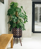 D'vine Dev 14 Inch Planter Pot with Stand, Mid-Century Tall Plant Pot with Legs for Indoor Plants, Bronze/Black, 88-G-D-6