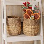 Small Seagrass Basket | Handwoven Natural Waste Bin for Garbage, Storage, or Holding Planters | Ideal for Bathroom, Bedroom, Office, or Under Desk Use (Seagrass)