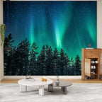 Atrippy Northern Lights Forest Wall Tapestry for Bedroom Living Room, Nature Starry Night Calming Aurora Borealis Wall Hanging, Winter Space Tapestry Ceiling Decor for Dorm Men 51"X60"
