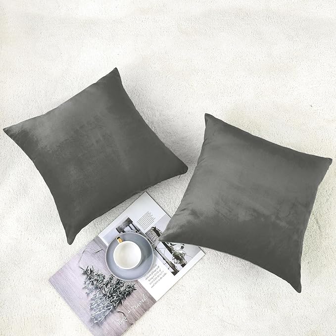 NiNi ALL Decorative Throw Pillow Covers Velvet 26x26 Inch Dark Grey Pack of 2 Cushion Covers Soft for Couch Sofa Bedroom Living Room Outdoor