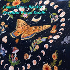 Moon Phase Butterfly Boho Woven Throw Blanket for Couch Bed Lounge Chair Hippie Room Decor Bedspread Boho Vintage Throws Blankets Outdoor Blanket Aesthetic Wall Hanging Celestial Bedroom Decor 51”x59”
