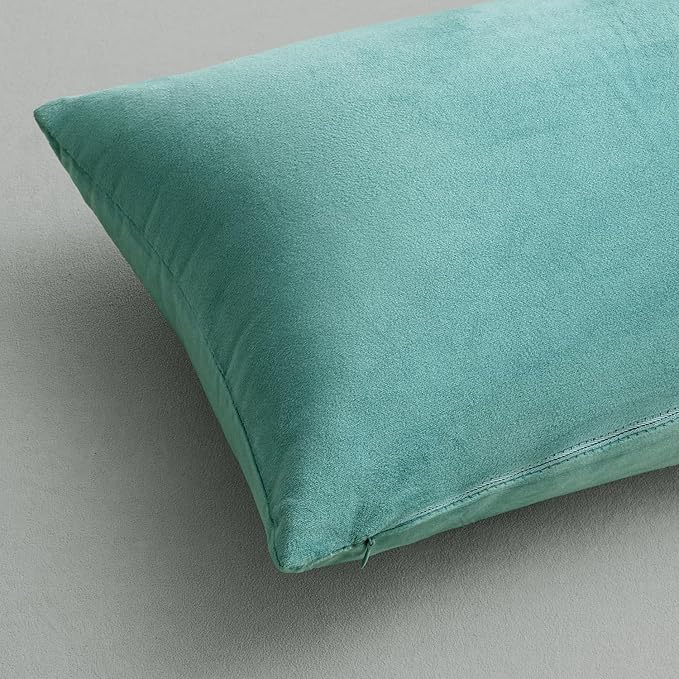 MIULEE 26x26 Inch Euro Sham Velvet Pillow Covers, Set of 2 Large Square Decorative Pillows -Aqua Green Super Soft for King Bed, Sofa, Couch, Accent Chairs with Hidden Zipper
