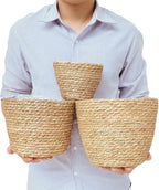 Woven Seagrass Plant Basket Without Handles | Decorative Planter for Small-Space Living or Natural Home Styling | Perfect for Living Room, Balcony, Patio, Kitchen or Gadren (Set of 3)