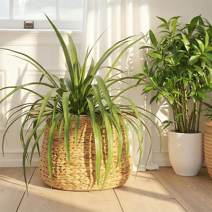Household Essentials Round Handwoven Water Hyacinth and Seagrass Basket with Handles, Natural