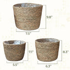 Set of 3 Woven Seagrass Planter Baskets – Handwoven Decorative Storage Baskets for Indoor Plants, Boho Home Decor, Living Room & Entryway Display – No Handle Design