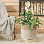 CHICVITA Large Wicker Jute Woven Storage Basket with Handles – Blanket Laundry Basket for Toys Towels Home Decor, White, 14" x 14" x 12"