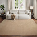Boho Washable Area Rugs 6x9 ft, Non Slip Area Rug for Living Room, Braided Office Rugs Bedroom Rug Woven Washable Indoor Floor Carpets for Office Dining Bedroom Living Room, Easy to Clean, Brown