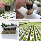 ORIMERC 2 inch Net Cups Pots 30 Pack with 30 feet Self Watering Wick & 30 Plant Labels for Hydroponics Aquaponics Planter Indoor Outdoor Growing Baskets Slotted Mesh UV Resistant & BPA Free