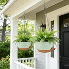 12 Inch Self Watering Hanging Planters 2 Pack, Indoor Outdoor Hanging Pots for Plants with Drainage Holes & Saucers, Green Brown Plastic Hanging Baskets for Kitchen Balcony Garden