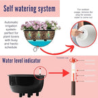 LaLaGreen Indoor Hanging Planter (11 Inch, 2 Pack) Self-Watering Round Flower Pot with Water Level Indicator, White Rattan Style Hanging Basket on Metal Chain for Balcony, Porch, Patio, Garden Decor