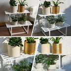 Plant Stand Indoor Outdoor, Foldable Metal Plant Shelf for Multiple Pots, Mid Century Slatted Bench for Patio Garden, Heavy Duty Capacity 330 lbs 2 Tier White