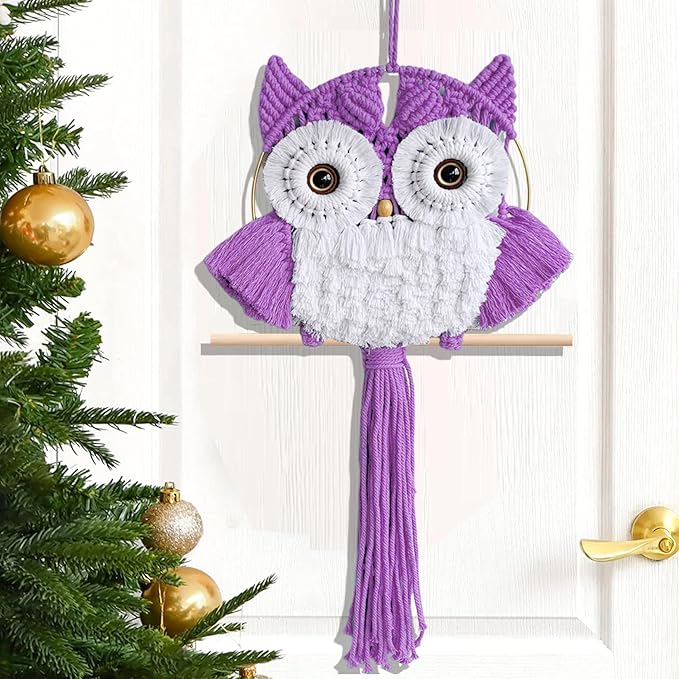 Macrame Owl Wall Hanging Boho Hippy Decor, Handmade Tapestry Fiber Art Wall Decor for Nursery Bedroom Living Room, Sustainable Gift for Owl Lovers & Nature Fans
