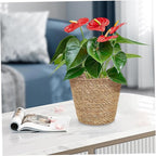 Boho Decorative Woven Basket Plant Pots for Shelves Handmade Woven Flower Pot for Dining
