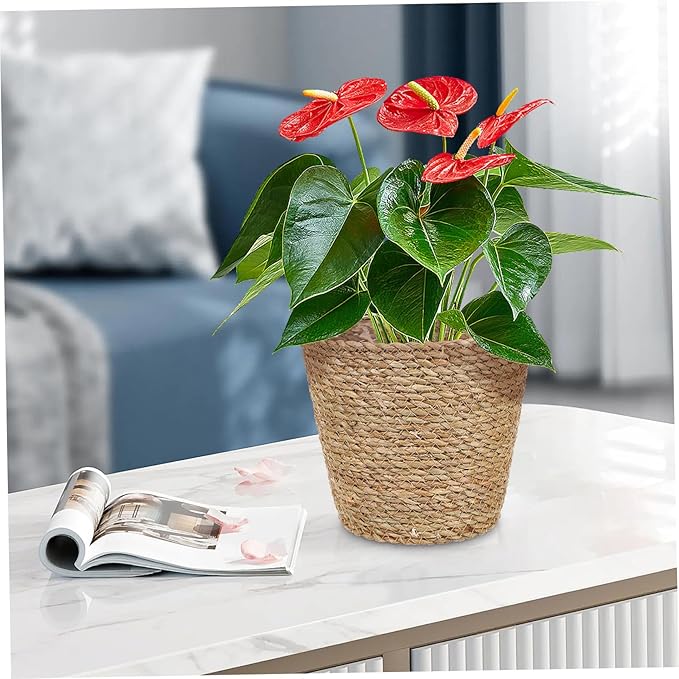 Boho Decorative Woven Basket Plant Pots for Shelves Handmade Woven Flower Pot for Dining