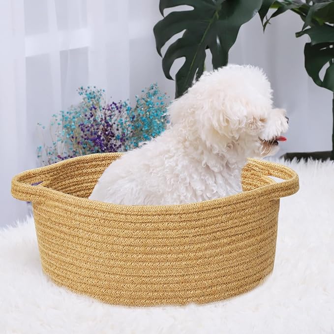 ABenkle Small Basket with Handles - Decorative Durable Rope Woven Storage Bin Shelf Storage Organizer Cube, Easter Baby Gift Basket, 12"x8"x5"