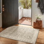 Washable Entryway Small Area Rugs: Door Mat Indoor Entrance 2x3 Boho Rug Stain Resistant Non-Slip Rubber Backing Soft Carpet for Kitchen Front Door Indoor Entrance Entry Bedroom Kids Room