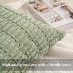 Pack of 2 Christmas Green Corduroy Decorative Throw Pillow Covers 18x18 InchSoft Boho Striped Pillow Covers Modern Farmhouse Home Decor for Sofa Living Room Couch Bed（Blackish Green）