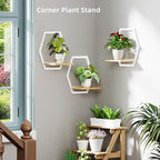 Modern White Hexagon Wall Planters with Solid Wood Shelves Set of 3 Geometric Floating Wall Decor for Indoor Plants, Stylish Wall Mounted Display for Succulents & Small Plants