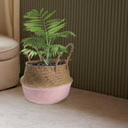 HANABASS Woven Seagrass Flower Basket with Handle 27cm Diameter Foldable Plant Pot Indoor Garden Decor Boho Style Patio Planter
