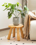 2 Pack Small Solid Wood Stool, Round Wooden Step Stool, Plant Stand or Stool for Kids and Adults, Sturdy Non-Slip Wood Seat for Bathroom, Bedroom, Living Room, Easy to Assemble, Natural