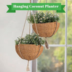 Riare 4 Pack 10 Inch Round Coco Liners Replacement, 100% Natural Coconut Coir Liners for Hanging Baskets, Garden Flower Vegetables Planter Pot, Window Box, Fence, Decks